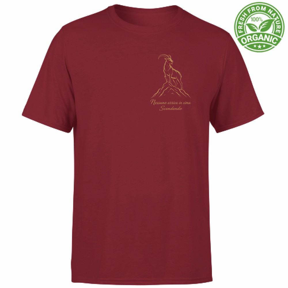 T-shirt Unisex Organic- Nessuno arriva in cima scendendo - immagine 4